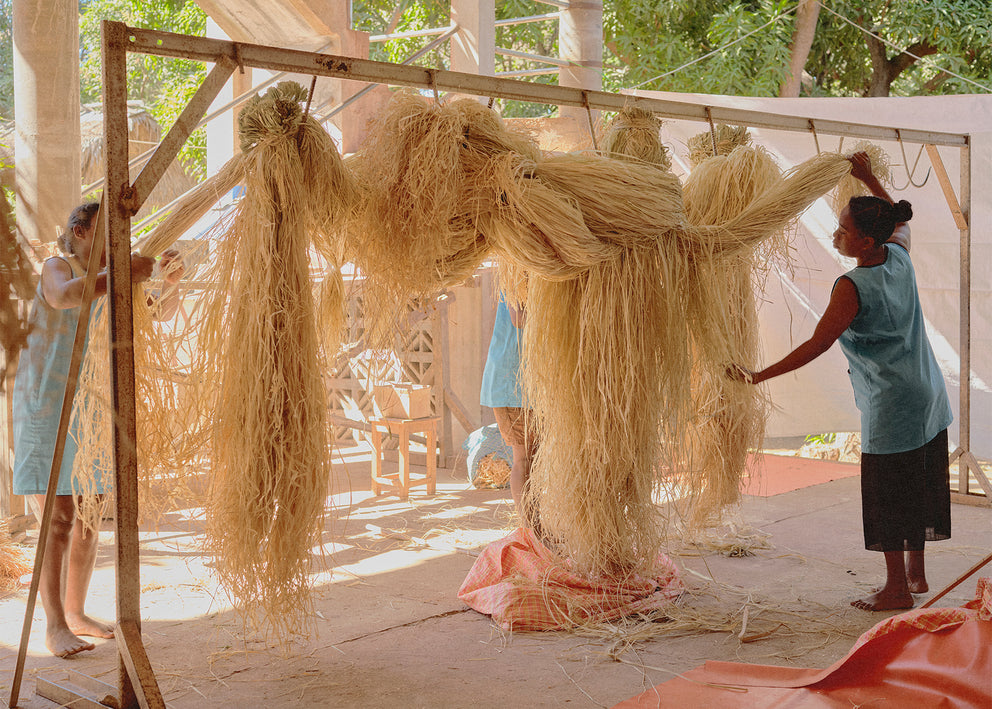 Fresh Raffia What is Raffia, and What Is Raffia Made From? - Helen Kaminski