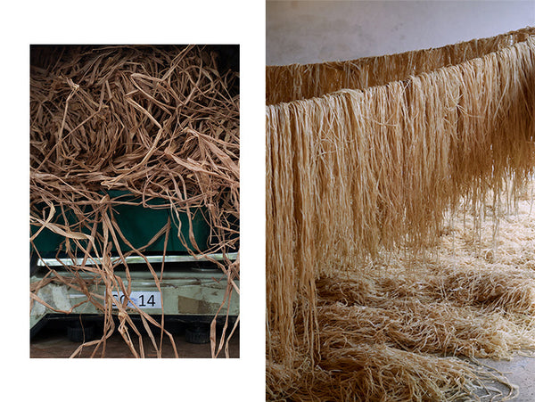 Raffia Example What is Raffia | Raffia vs Straw & more | Helen Kaminski