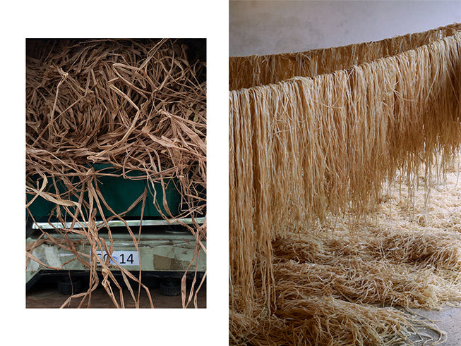 What is Raffia | Raffia vs Straw & more | Helen Kaminski
