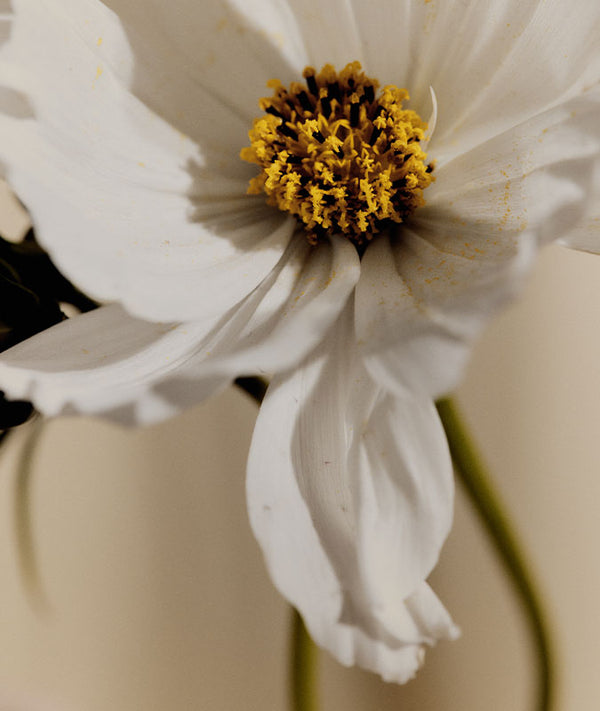 現行モデル美品！HELEN KAMINSKI Marhianna Helen Kaminski USA Official Store | Hats, Bags & Footwear