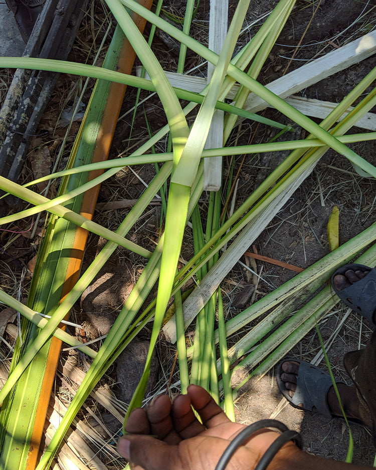 Wild Raffia What is Raffia - Raffia vs Straw & More - Helen Kaminski